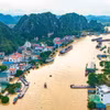 宁平省嘉远乡区域在暴雨洪水后严重被淹。图自越通社