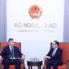 越南外交部长黎怀忠在河内会见正在对越南进行工作访问的捷克和摩拉维亚共产党主席罗曼·劳恩。图自越通社