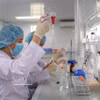 卫生部位于庆和省的疫苗与医学生物制品研究院的研究人员正在进行疫苗研究与检定工作。图自越通社