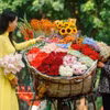 卖花的单车小贩是河内秋天一道特有的美景。图自越通社