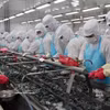 水产业是VEFTA生效后受益明显的行业之一。图自越通社