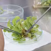 茶荣大学的作物品种研究成果已应用于农业生产和实际生活。图自越通社
