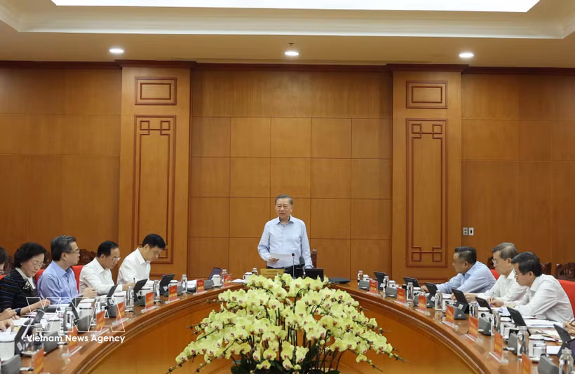 越共中央总书记、国家主席苏林讲话。图自越通社