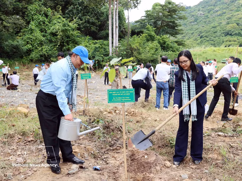 胡志明市友好组织联合会（HUFO）领导在昆岛特区“友谊树林”植树。图自越通社