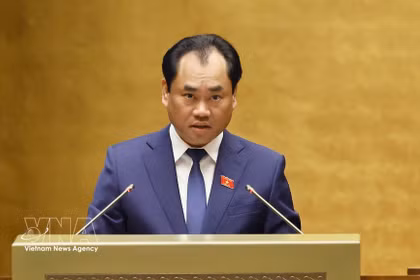越南农业与环境部长郑越雄作了有关2024年《土地法》修改政策方向的呈文。图自越通社