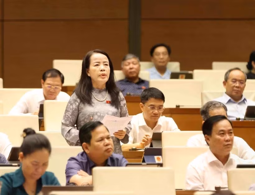 代表们在会上进行讨论。图自越通社