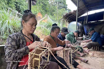 水葫芦编织业帮助改善乂安安那山区民众生活。图自越通社