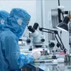 位于安平工业园区的越南舜宇光学技术有限公司（Sunny Opotech Vietnam Co., Ltd.）正在进行摄像头生产。图自越通社