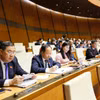 河静省国会代表团与会。图自越通社