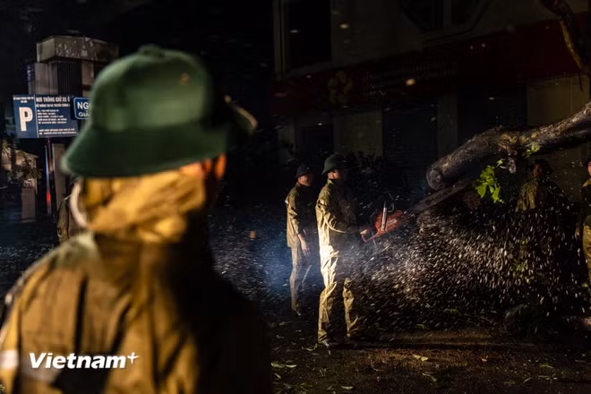 9月7日夜晚，各职能力量折断树枝。图自Vietnamplus