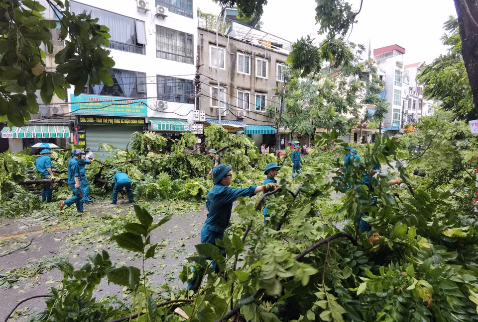 台风“摩羯”来袭后，首都河内道路中断，树木倒伏。各职能力量迅速行动，抢修道路、清理倒伏的树木。图自越通社
