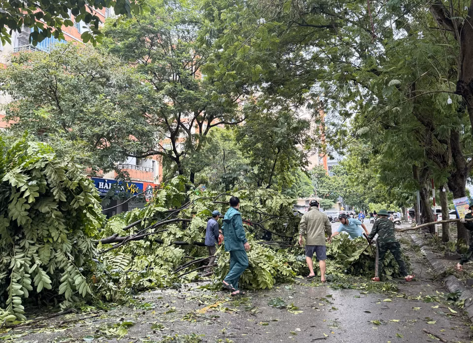 首都河内各职能力量迅速行动，抢修道路、清理倒伏的树木和清运垃圾。图自越通社