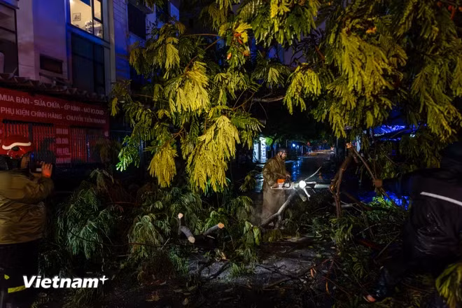 9月7日夜晚，各职能力量不舍昼夜迅速克服台风后果。图自Vietnamplus