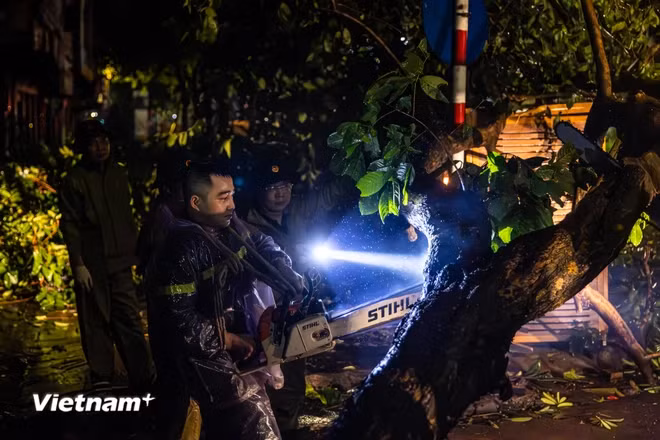 出行的道路被连根拔起的大树阻挡，职能力量折断树枝。图自Vietnamplus