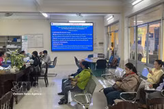顺化市就业服务月吸引众多劳动者参加应聘、求职。图片来源：越通社