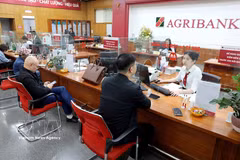 兴安省信贷保持增长势头。图片来源：越通社