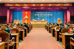 嘉莱省第十三届人民议会第三次专题会议于2026年5月29日召开，审议并决定若干属于其职权范围内的重要事项。图为会议现场。图片来源：越通社