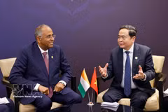 越南国会主席陈青敏会见科特迪瓦国民议会议长阿希。图片来源：越通社