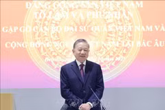 苏林总书记在见面会上发表讲话。图自越通社