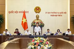 国会主席陈青敏主持会议并致开幕词。图片来源：越通社