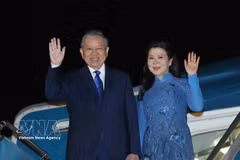 越共中央总书记、国家主席苏林携夫人启程对丹麦、欧盟和比利时进行访问。图片来源：越通社