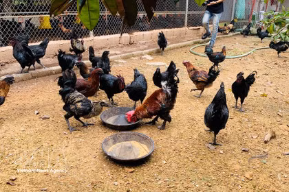 资料图。图自越通社