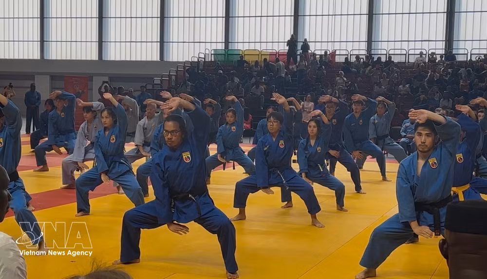 vnanet-vovinam-1.jpg