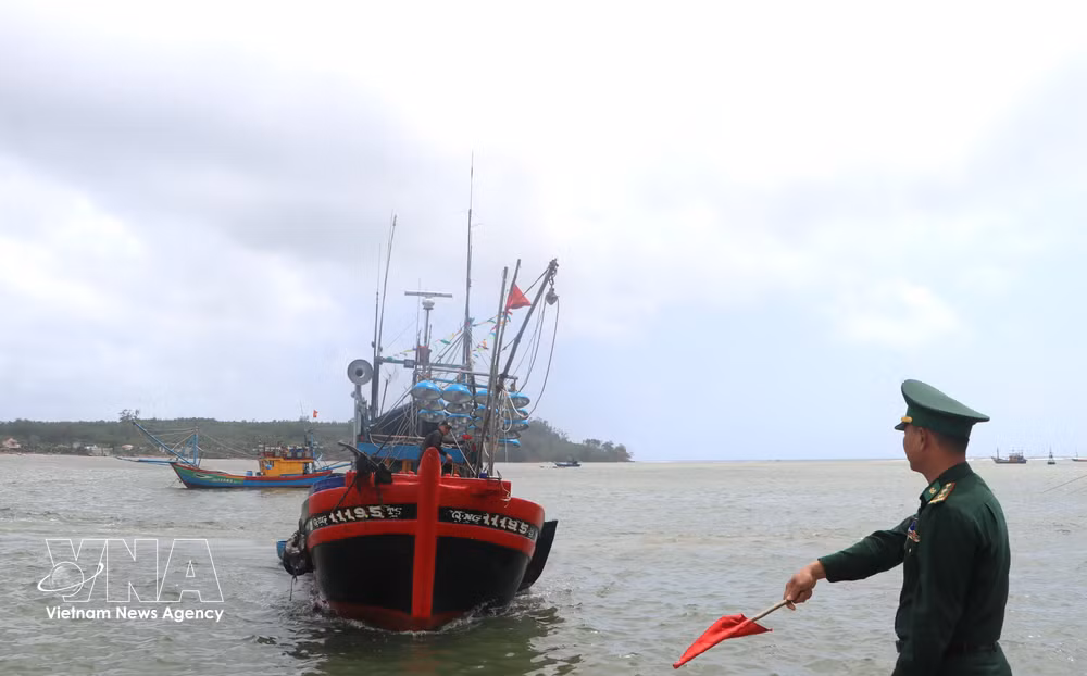 vnanet-vna-potal-quang-ngai-siet-chat-doi-soat-tau-ca-quyet-tam-go-the-vang-iuu-8673292.jpg