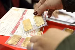 附图 图自Vietnam+