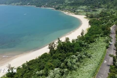岘港市重新开放山茶半岛旅游线路。图自越通社