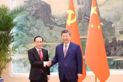 越共中央总书记苏林特使黎怀忠会见中共中央总书记、国家主席习近平