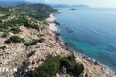 探索宁顺主山国家公园的海岸石园