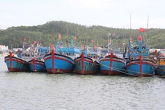 渔船到港口避风。图自越通社