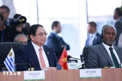 越南政府总理范明政从7月6日至7日以伙伴国身份赴巴西出席在里约热内卢举行的2025年金砖国家峰会领导人大范围会议。图自越通社