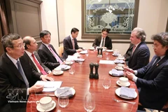 越共中央政治局委员、中央科技、创新与数字化转型指导委员会副主任、河内市委书记阮维玉会见Rosen Partners集团执行经理丹尼尔·罗森。图自越通社