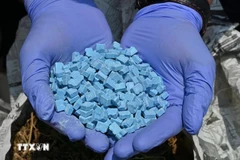 印尼当局查获的毒品。图自AFP