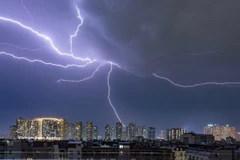 启动2026年世界水日和世界气象日响应活动。图自越通社