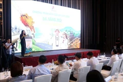 8月15日，岘港市文化、体育与旅游局联合举办促销活动，吸引游客在2025年下半年前往韩江沿岸城市。图自越通社