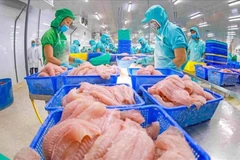 查鱼加工链。图自Vietnam+