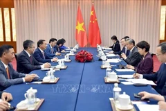 越南政府副总理兼外长裴青山同中国外交部长王毅举行会谈。图自越通社