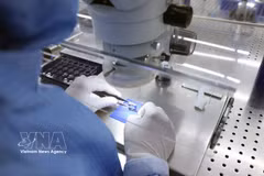 宁平省福山工业园的 MCNEX VINA Co., Ltd.工厂对电子元件质量进行检查。图自越通社