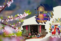 一周要闻：越南全国各地民众与旅外越南人兴高采烈迎新春