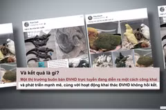 ENV推出了宣传片《脸书，请觉醒！》的屏幕截图。