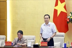 越南国会主席陈青敏发表讲话。图自越通社