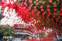 河内街道上飘扬着国旗。图自越通社