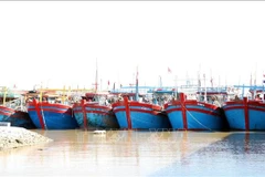 越南宁平省加大宣传力度 坚决打击 IUU 捕捞