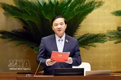 国会副主席阮克定发表讲话。图自越通社