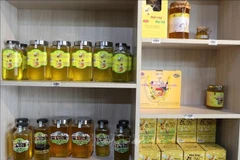 薄荷蜂蜜是河江省同文岩石高原的“一乡一品”产品。图自越通社