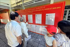 候选人名单和个人简介均公开展示。图自越通社