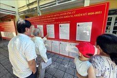 候选人名单和个人简介均公开展示。图自越通社